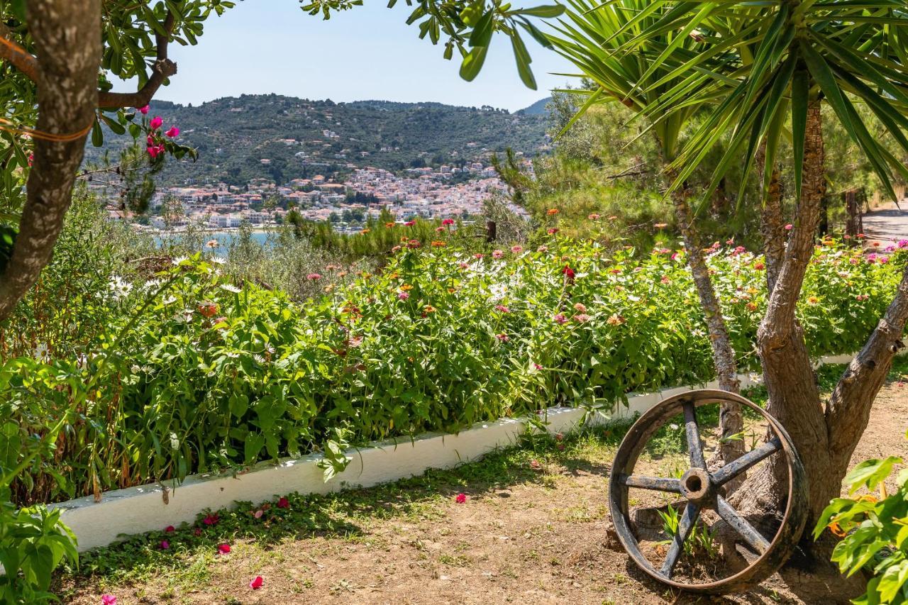 Ourania Apartment Skopelos Exterior foto